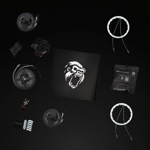 Essential Kit x Standard Rings
