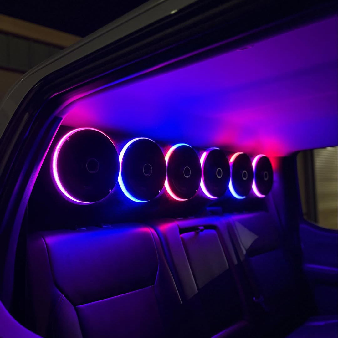 Essential Kit x Standard Rings