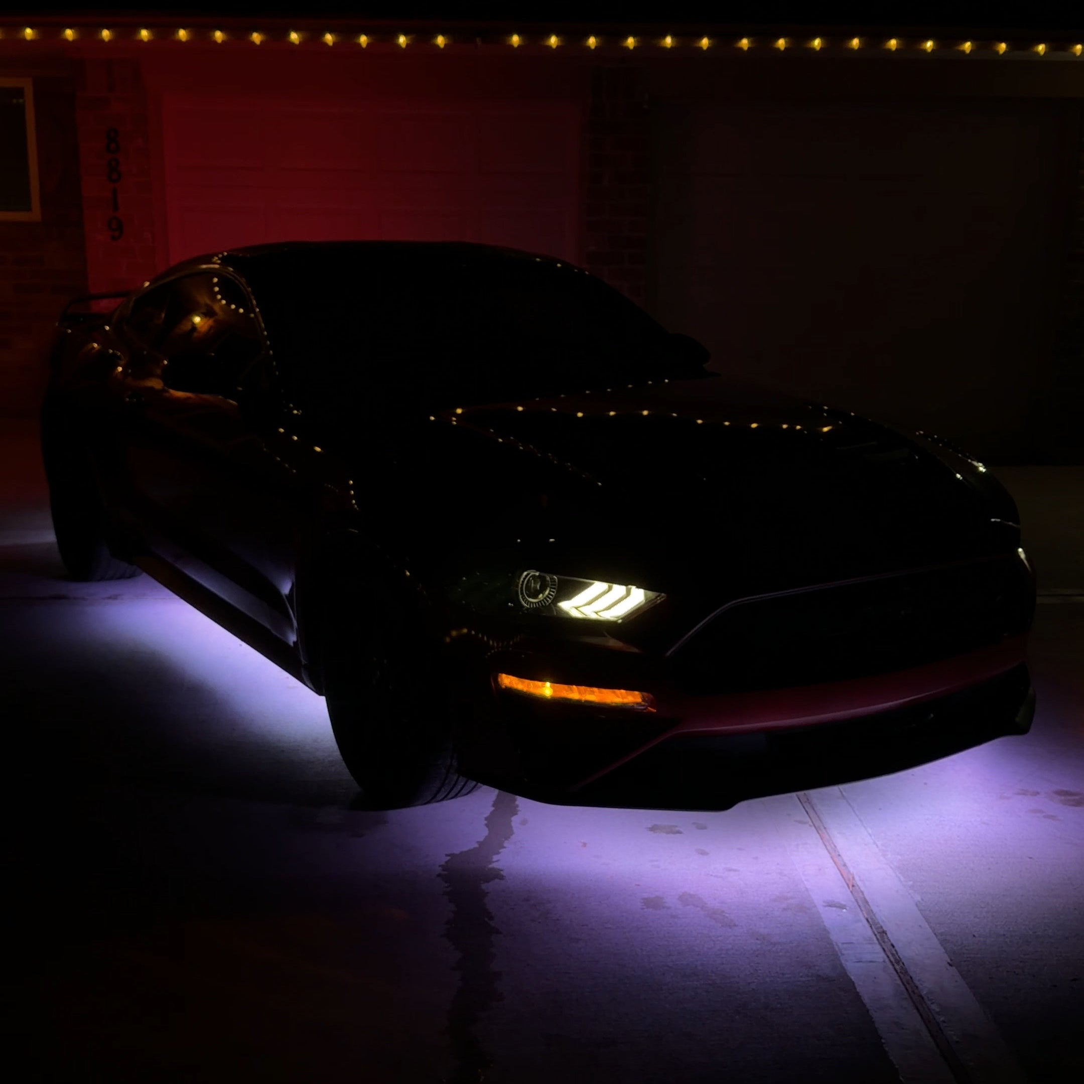 Performance Kit x High-class Series Rings