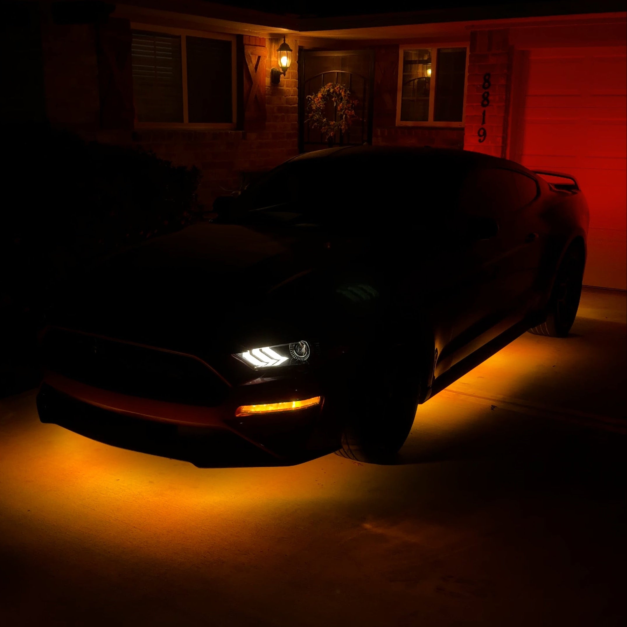 Performance Kit x High-class Series Rings