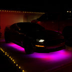 Performance Kit x High-class Series Rings