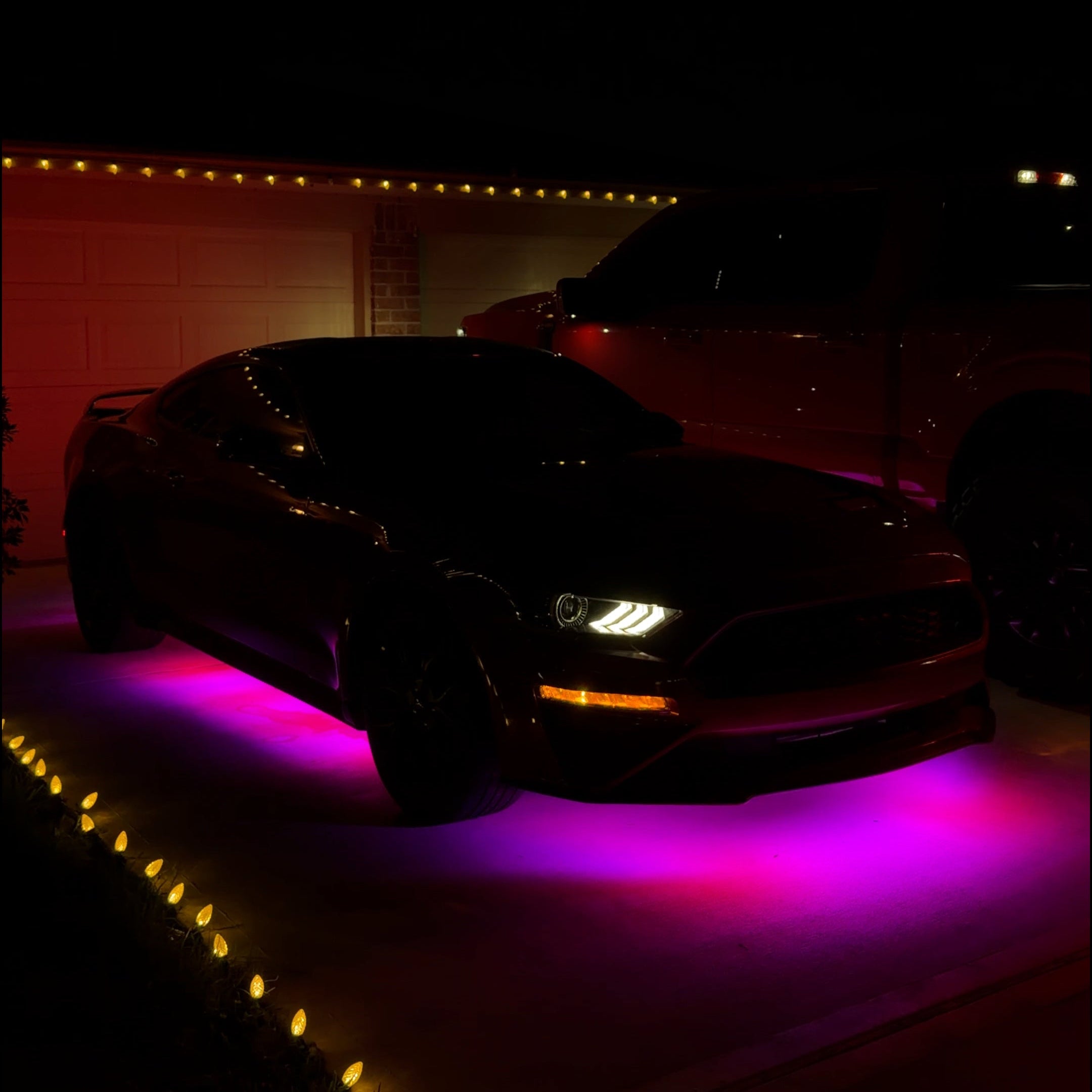 Performance Kit x High-class Series Rings