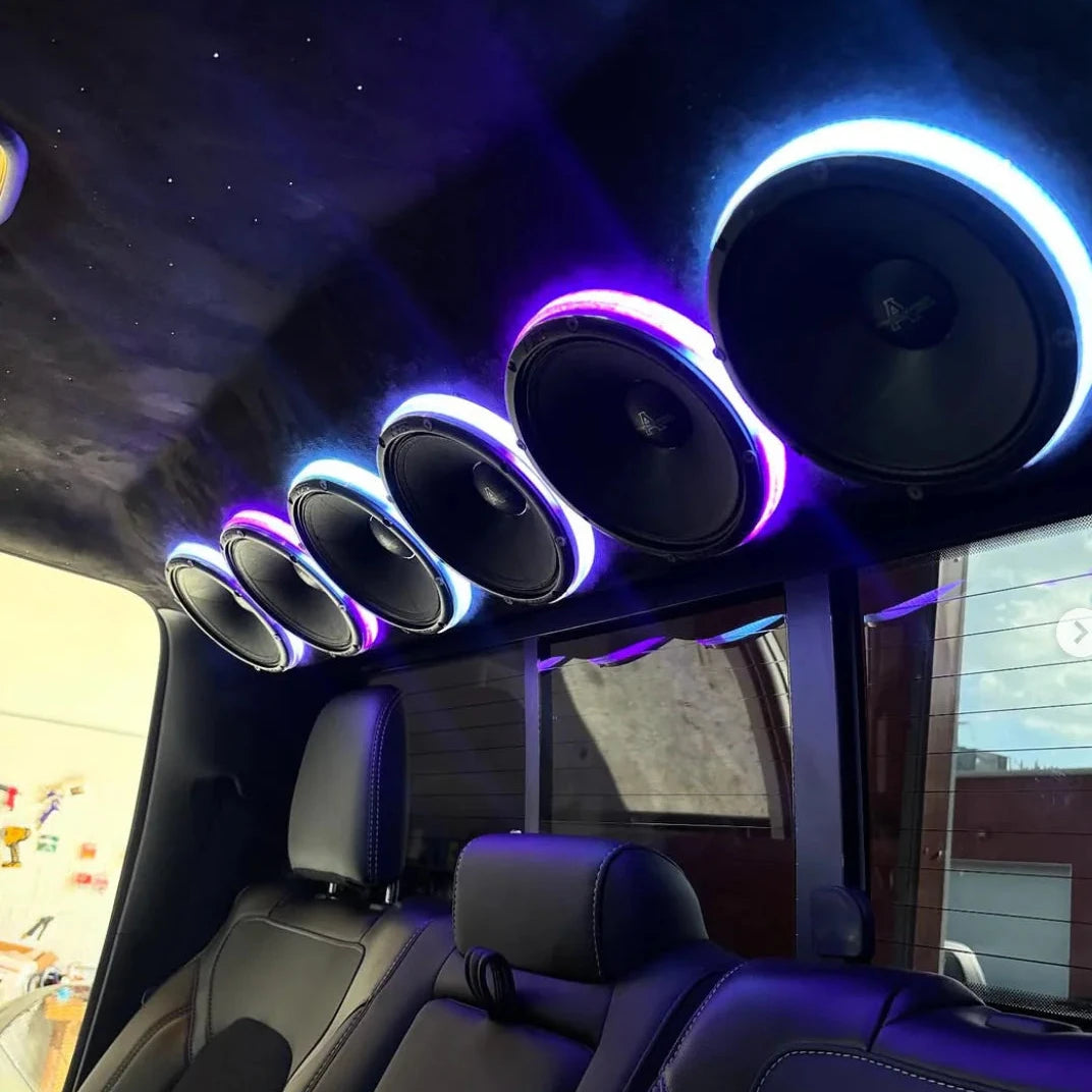 Essential Kit x Standard Rings