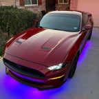 Glowlabz Performance Kit