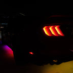 Glowlabz Essential Kit